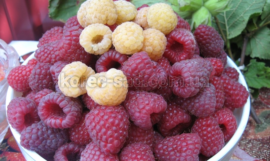 about110