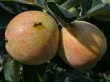 name